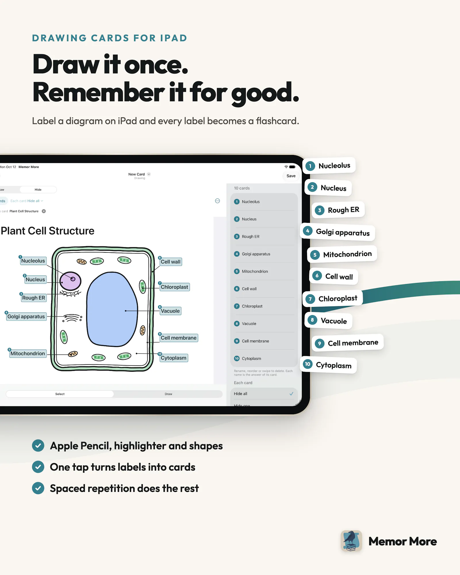 Memor More: Enhanced flashcards screenshot 5