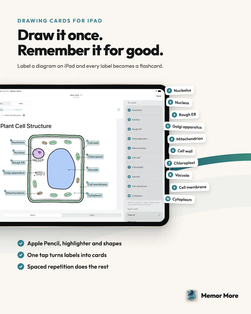 Memor More: Enhanced flashcards screenshot 5