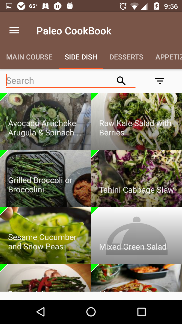 Paleo Diet CookBook gallery image