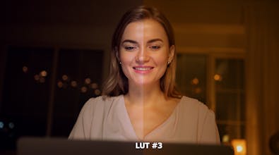 Cinematic and Natural LUTs Bundle gallery image