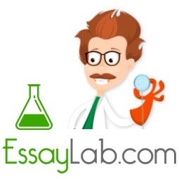 Find a Writer to Write My Essay