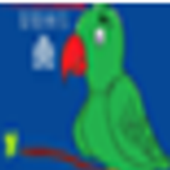Oiseau moqueur