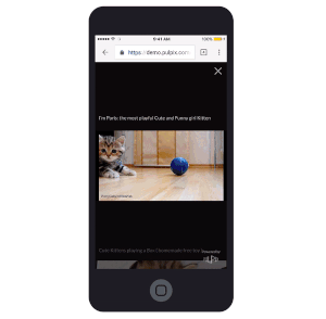 Pulpix Image