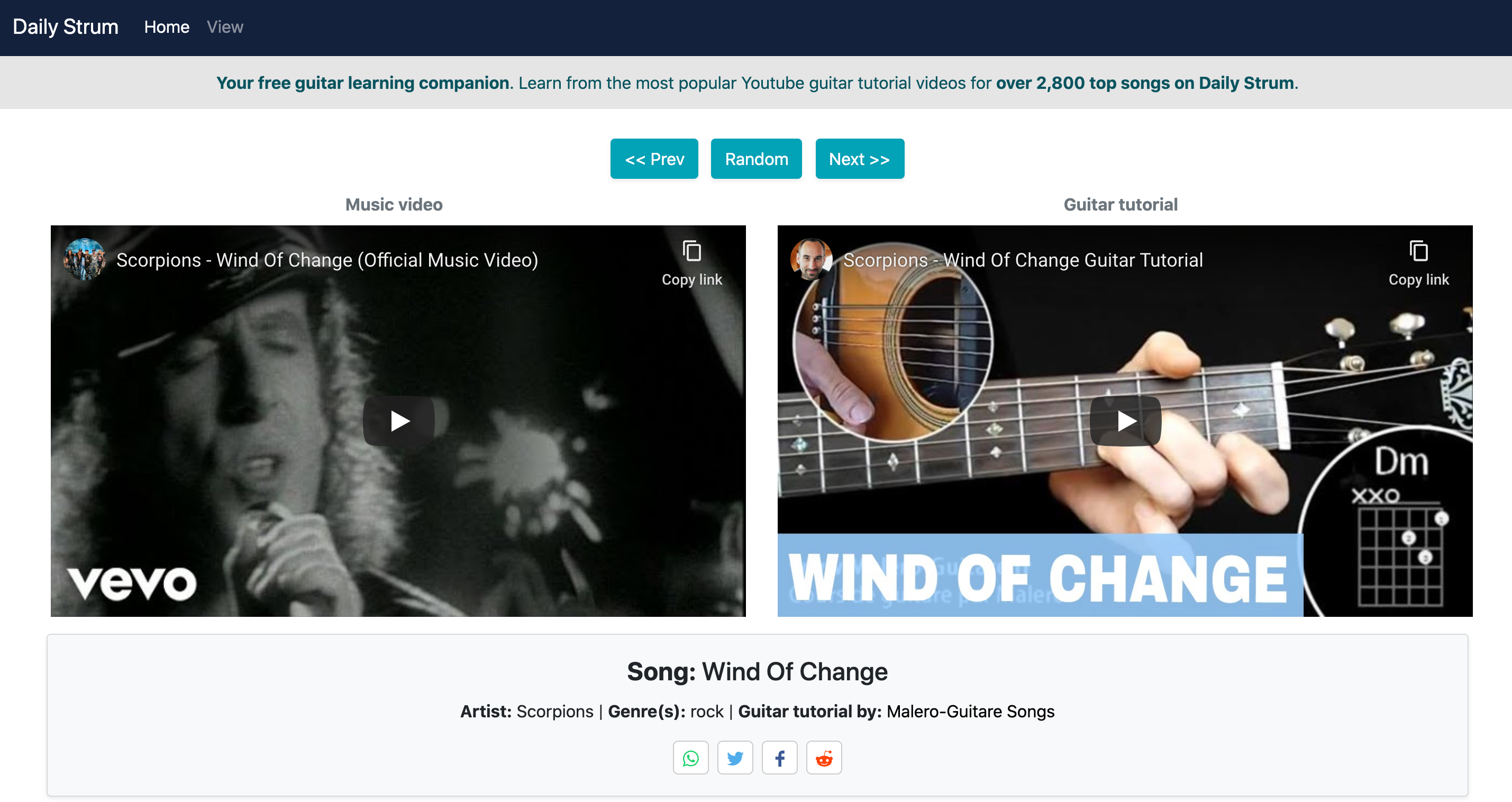 Daily Strum gallery image