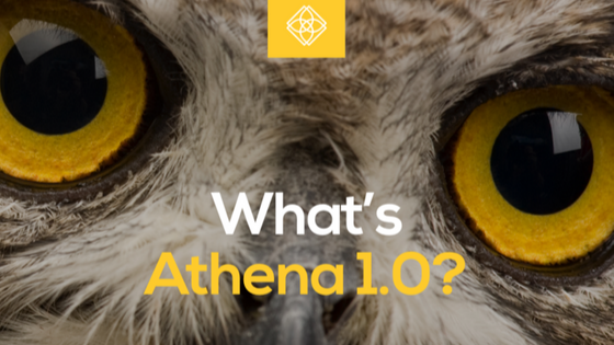 Athena 1.0 gallery image