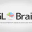 GLOBRA GL BRAIN