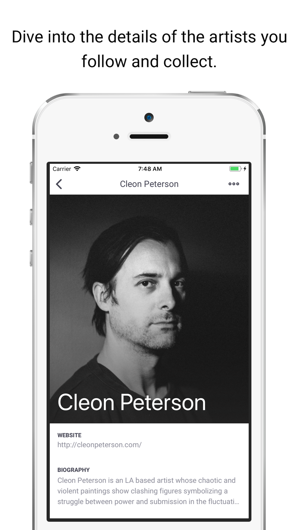 ArtCollection.io gallery image