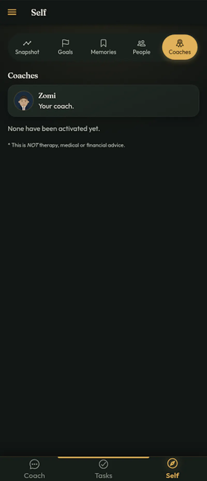 Zomi screenshot 7