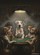 Dog Cartoonizer app - alpha version gallery image