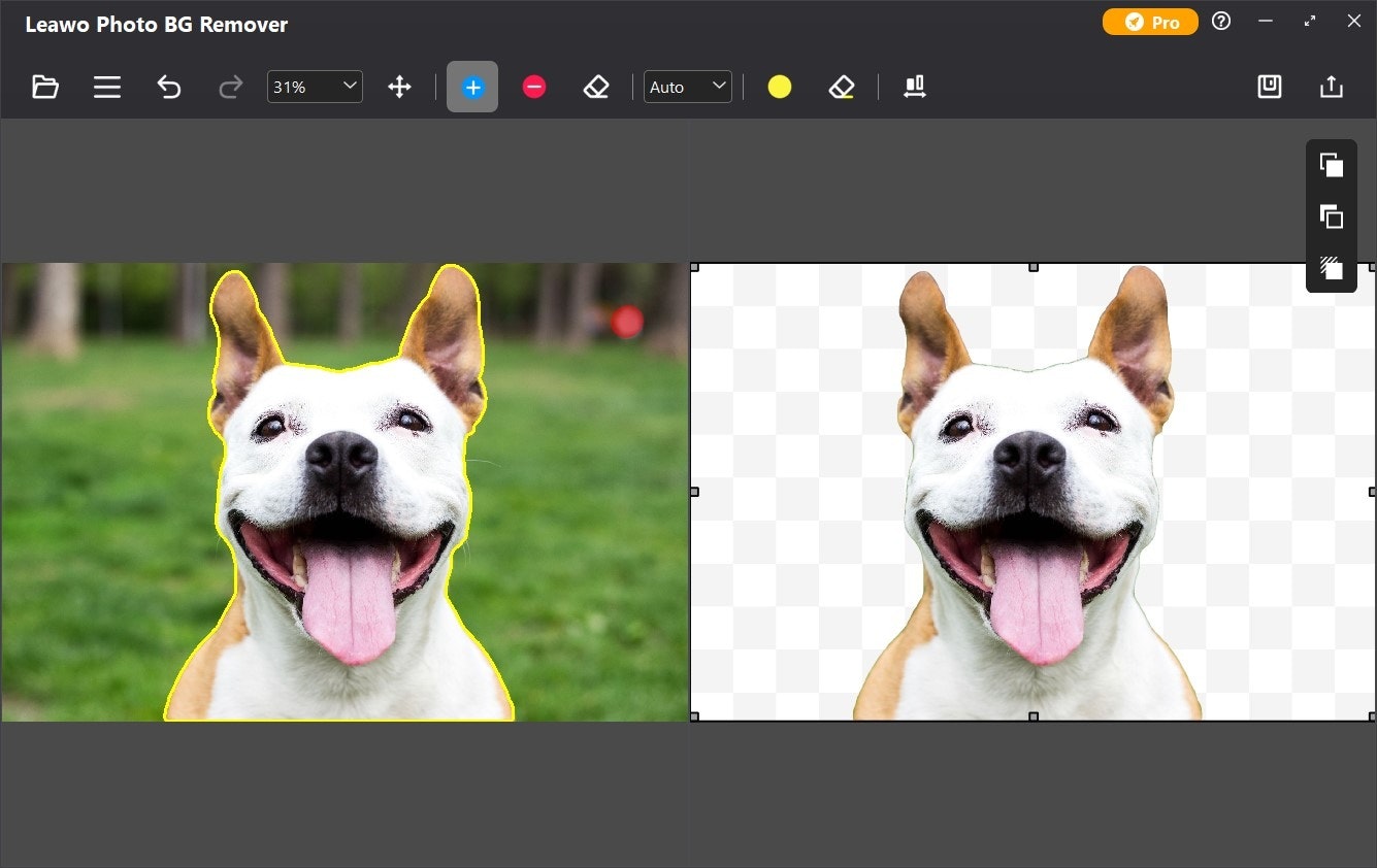 Leawo Photo Bg Remover - Автоматически удалить фоновый фон оптом и изменить его медиа 7