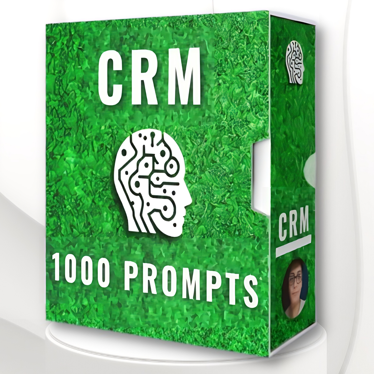 1000+ CRM Prompts