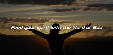 Bible Promise Box gallery image