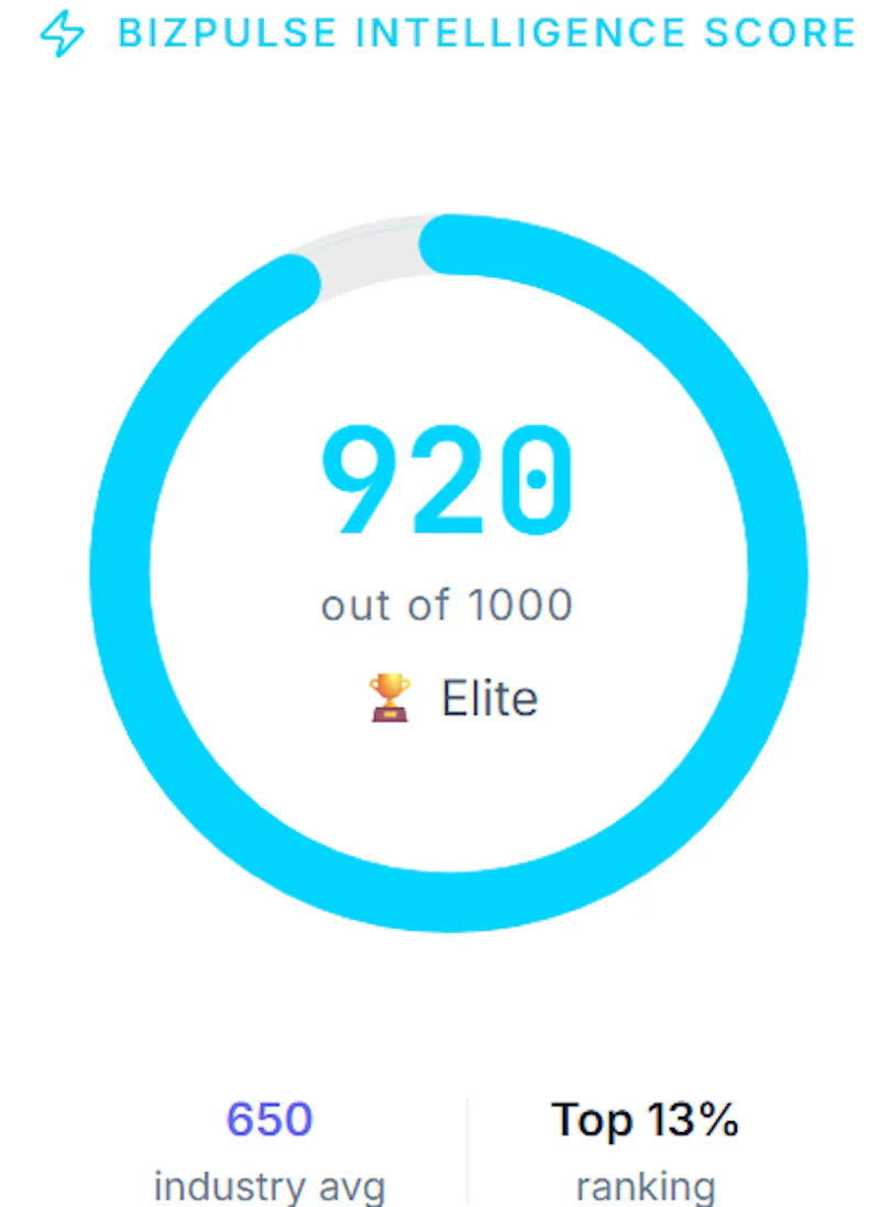 BizPulse — Business Analytics screenshot 2