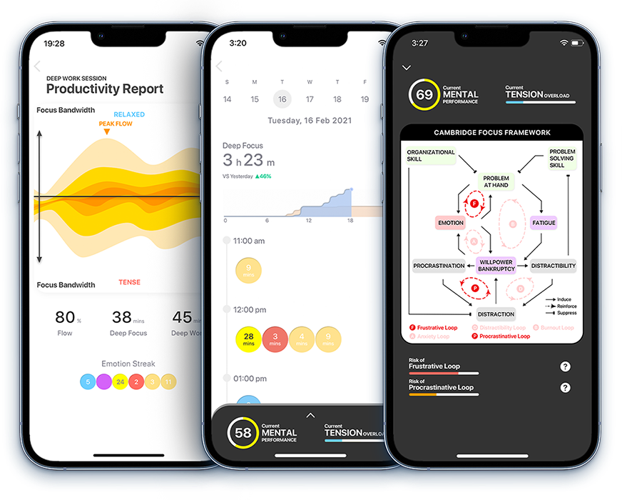 FOCI 2 gallery image