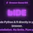bIDE (Browser IDE for Python, R and etc)