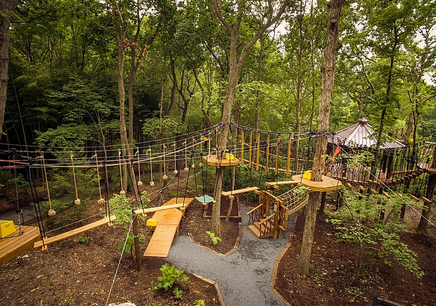 Big Canna World gallery image