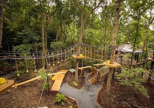 Big Canna World gallery image