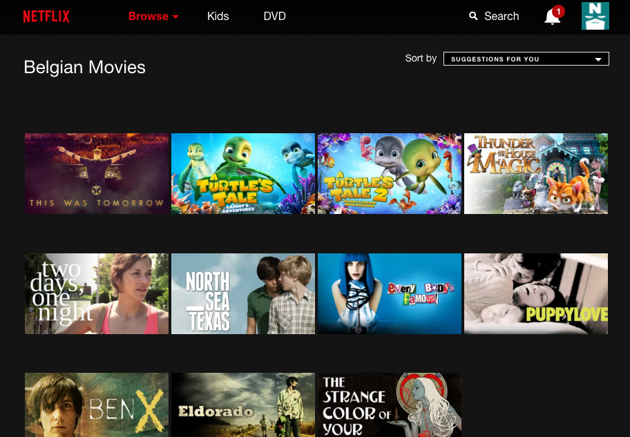 Netflix Secret Categories gallery image