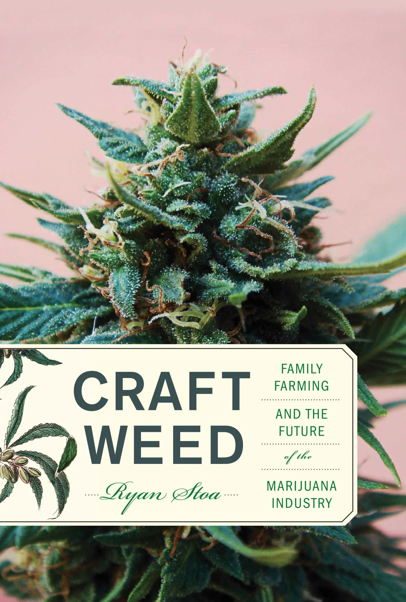 'Craft Weed' by Ryan Stoa (The MIT Press)