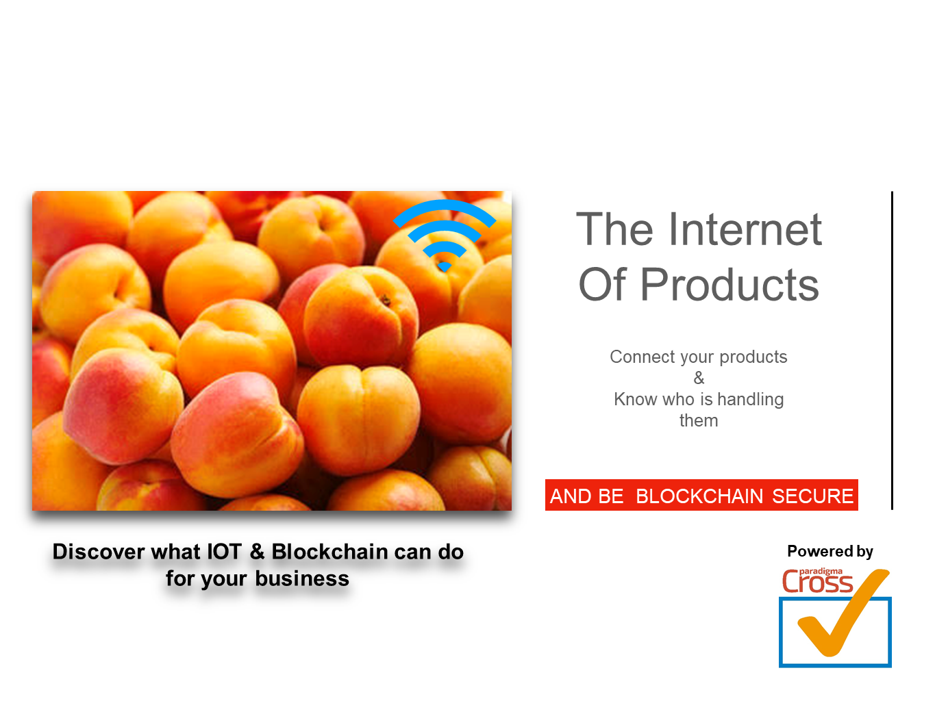 Paradigma CrossCheck gallery image