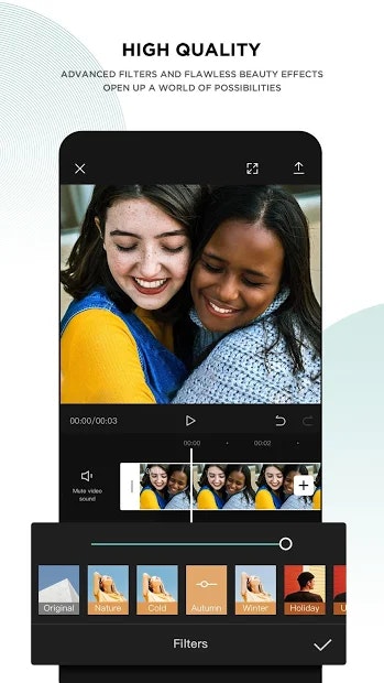 CapCut gallery image