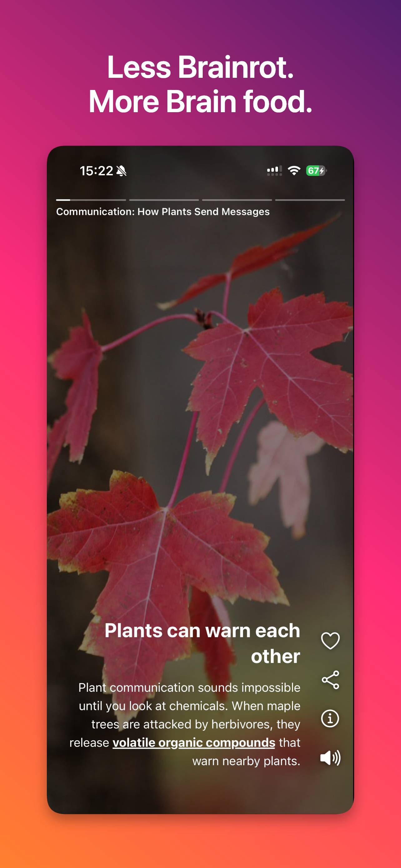 DeepSwipe - TikTok for learning gallery image