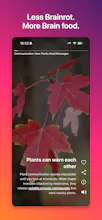 DeepSwipe - TikTok for learning gallery image