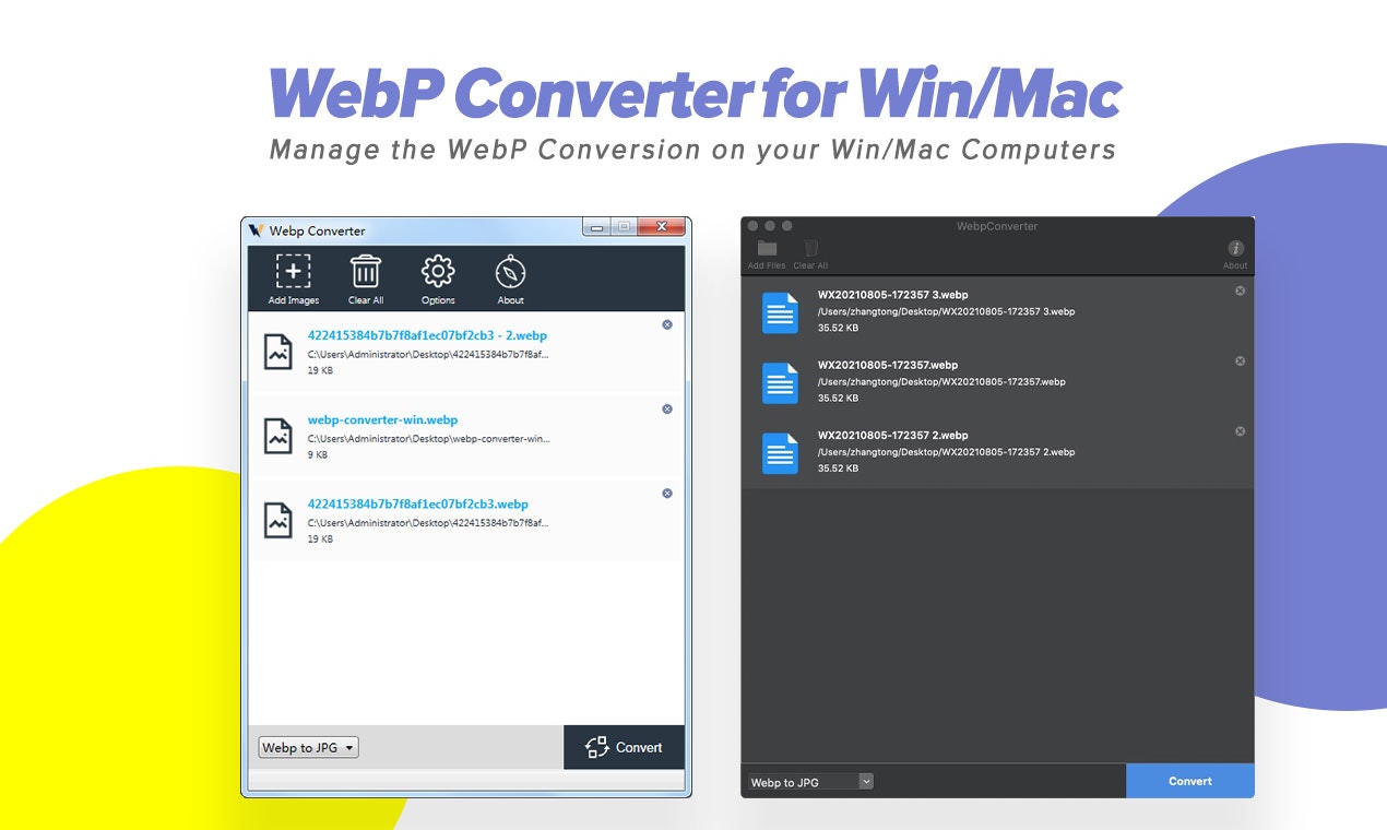 AnyWebP gallery image