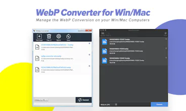AnyWebP gallery image