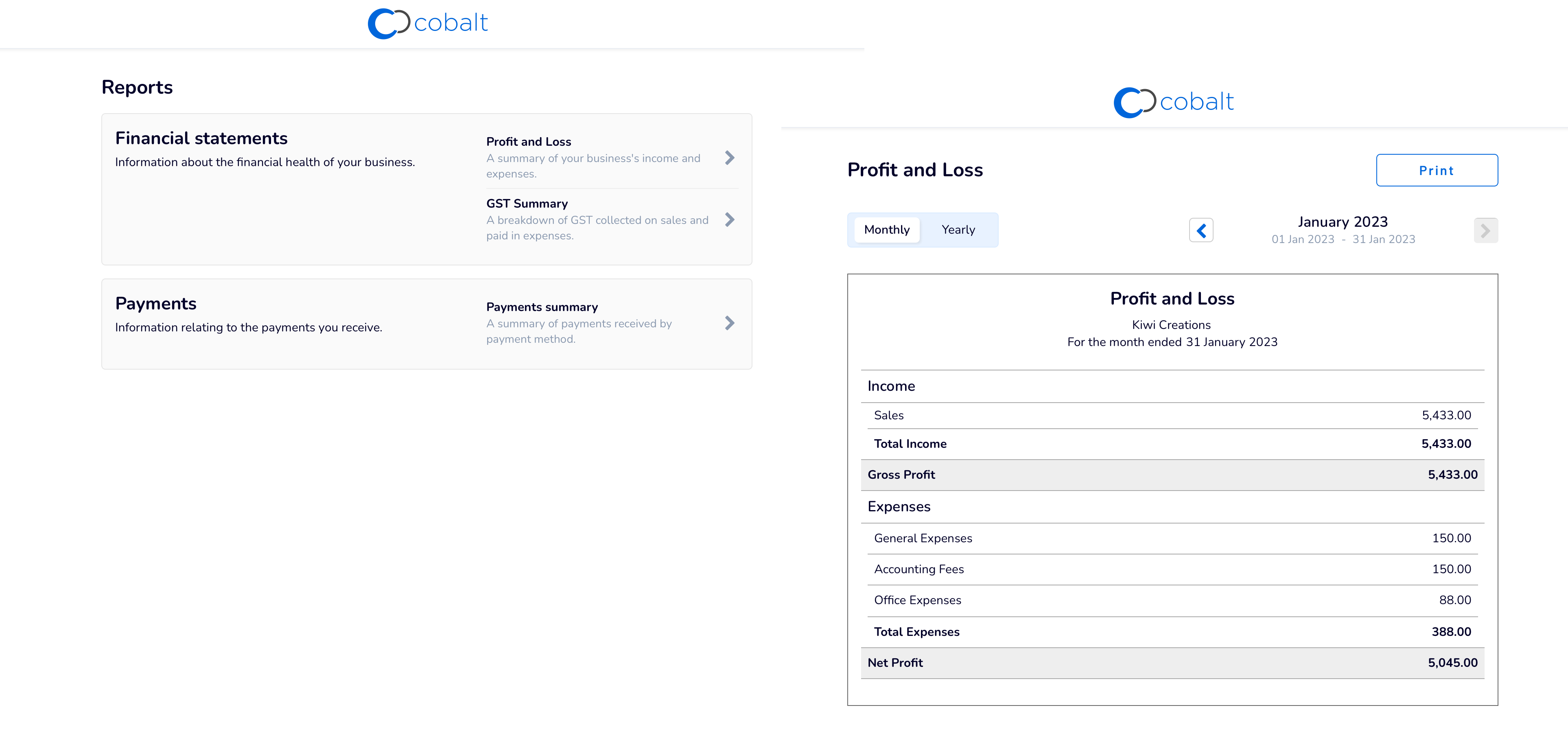 Kobalt - Factureringssoftware voor Kiwi Business media 6