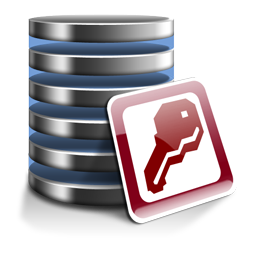 Access Repair N Recovery