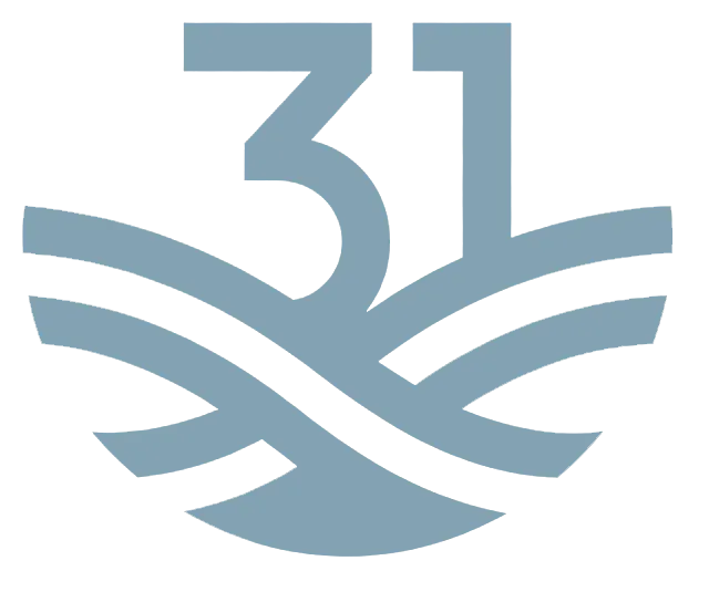 Nest31