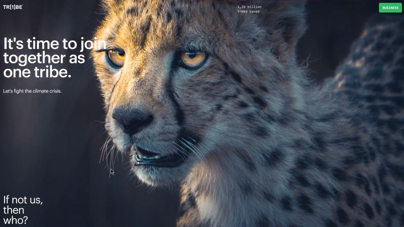 ONE TRIBE gallery image