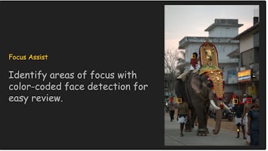 Snap Select gallery image