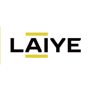 LAIYE logo