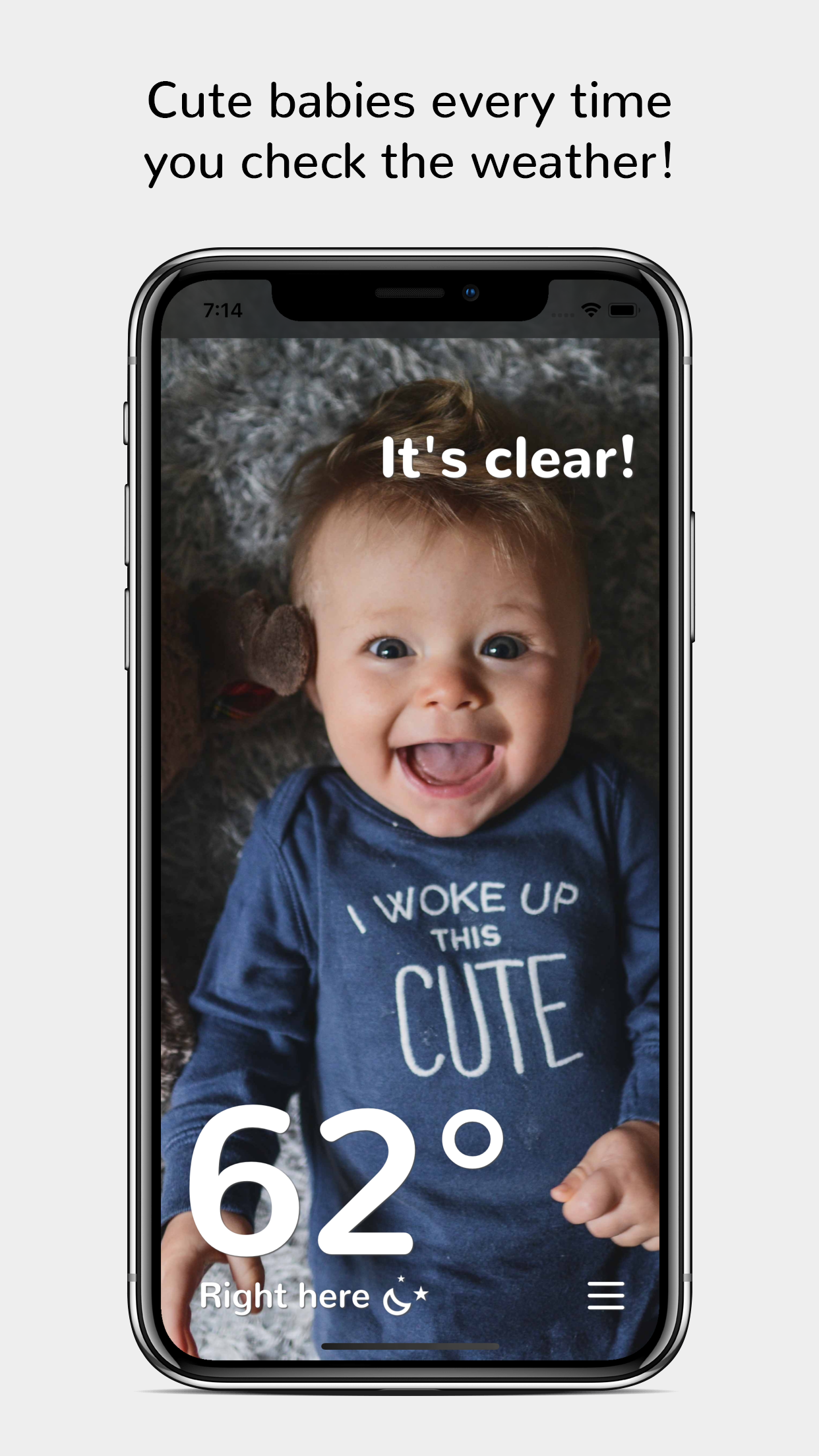 Avocuddle gallery image