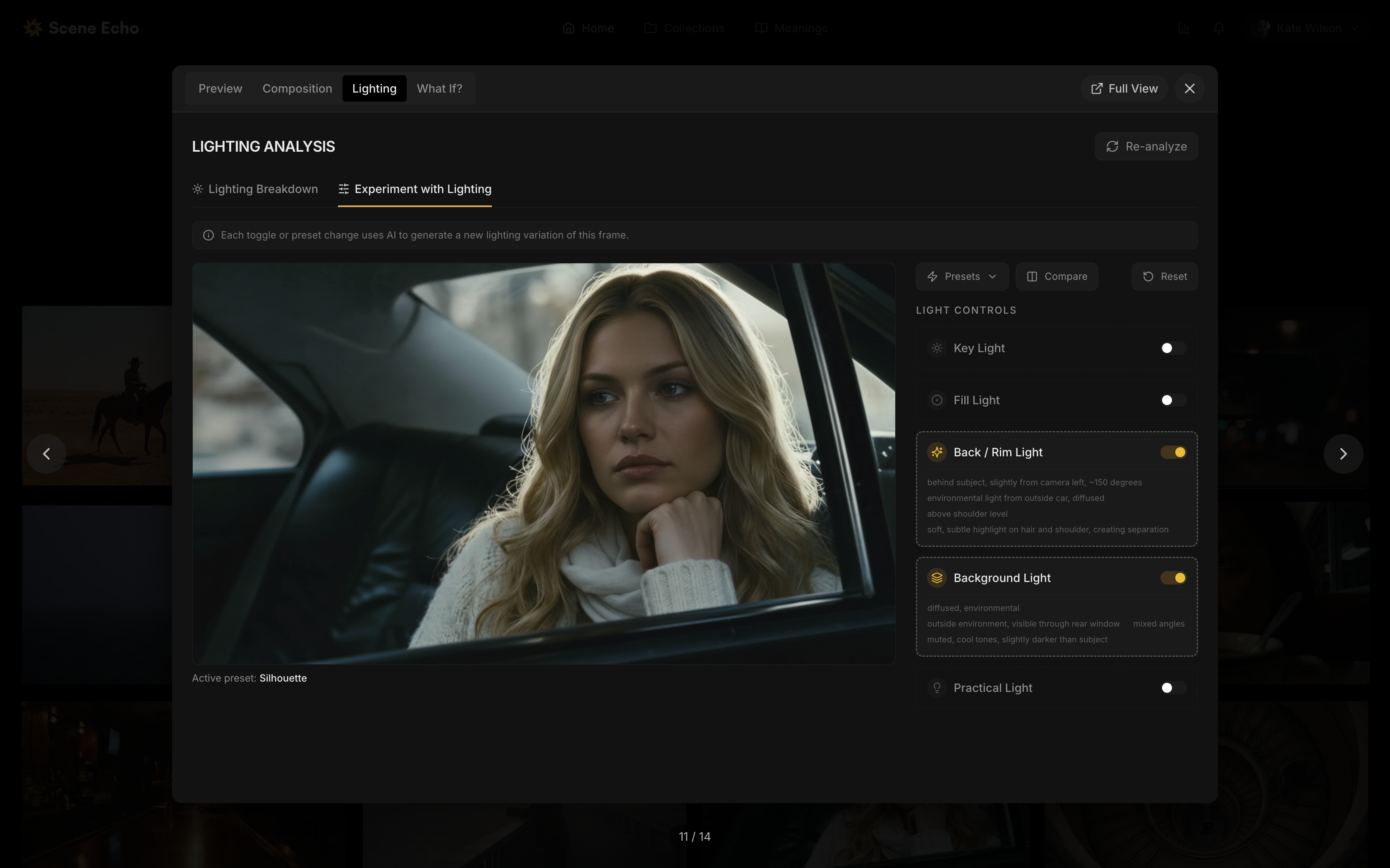 Scene Echo gallery image