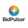 BidPulsar™ logo