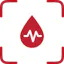 BloodId