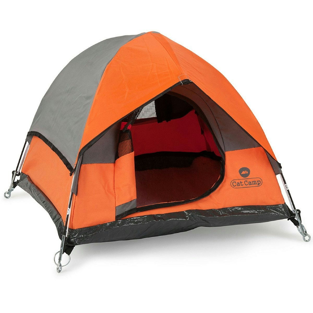 Cat Camp gallery image