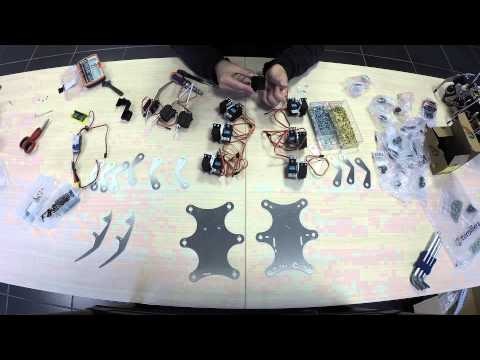 Erle-Spider gallery image