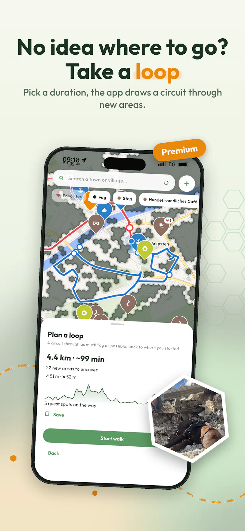 Quest.Dog Fresh walk ideas for your dog screenshot 3