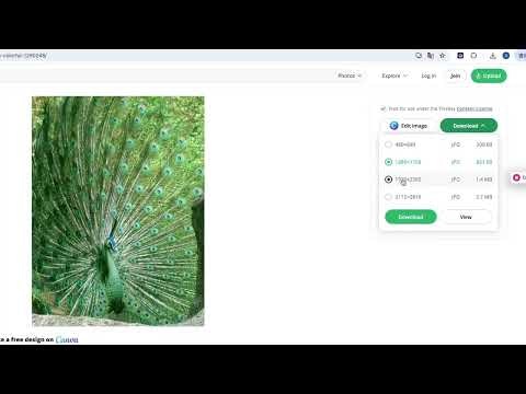 Quick Screen gallery image