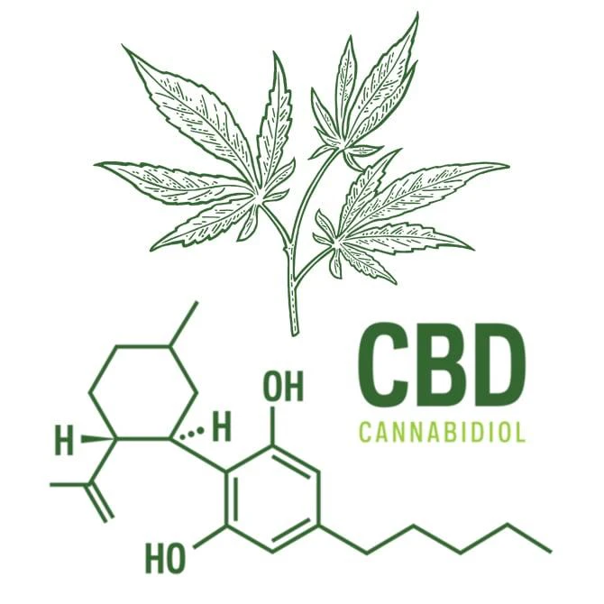 CBD Reviews