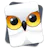 SnowyOwl