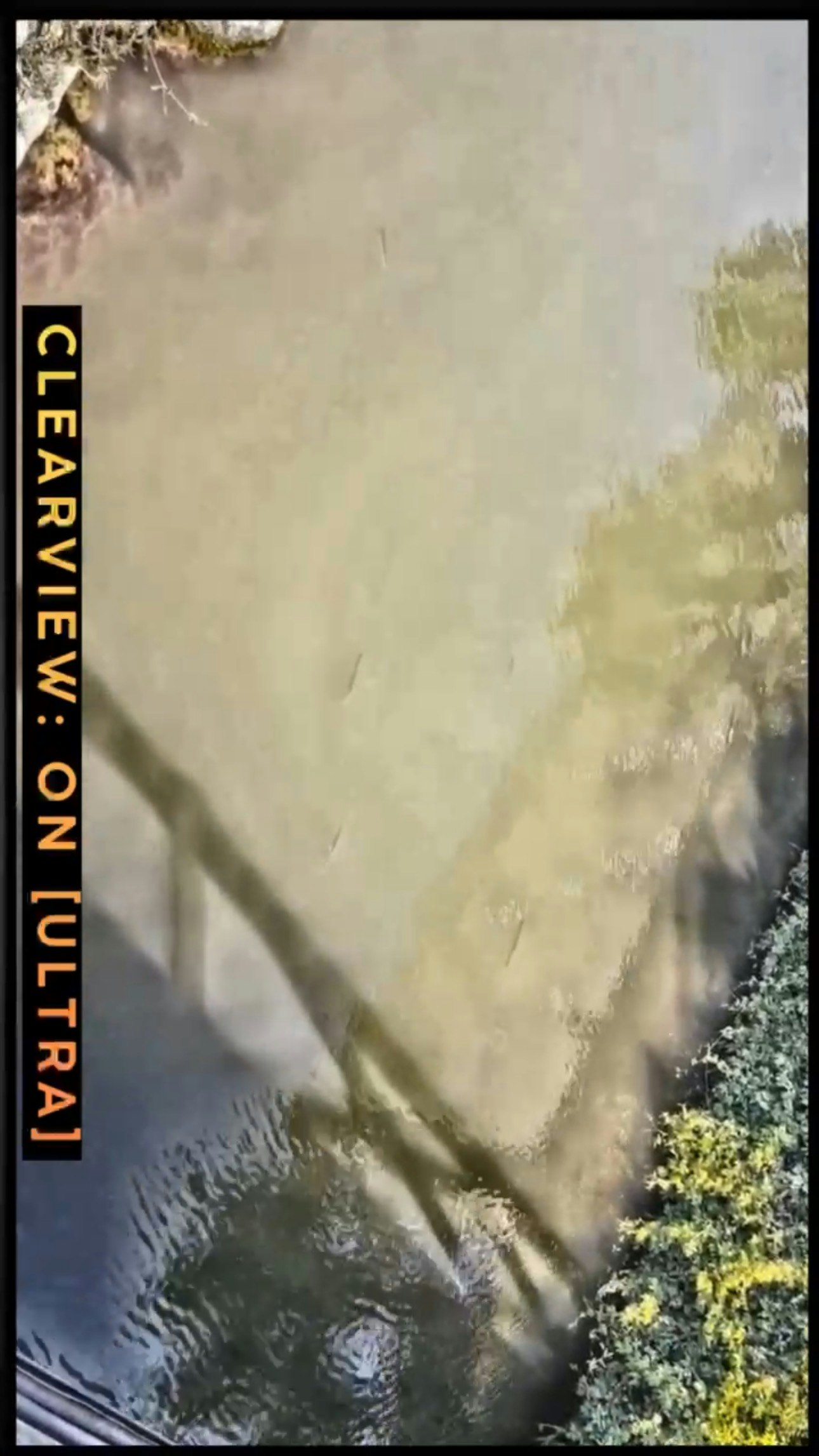 ClearView Basic&Pro gallery image