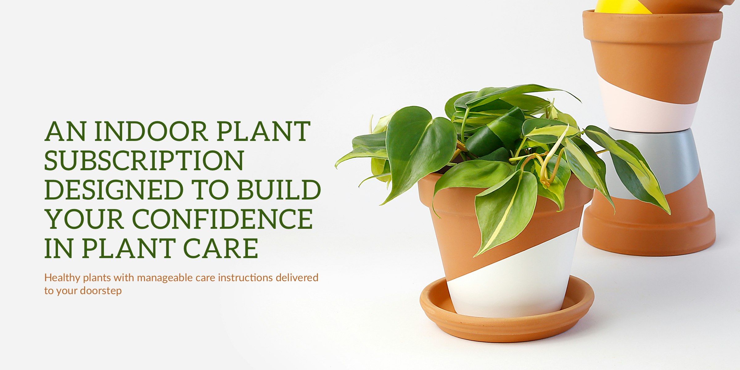 Horti Plant subscription that builds your confidence in