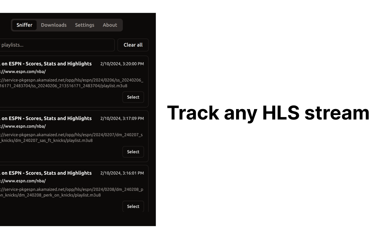 HLS Downloader - Web Extension gallery image