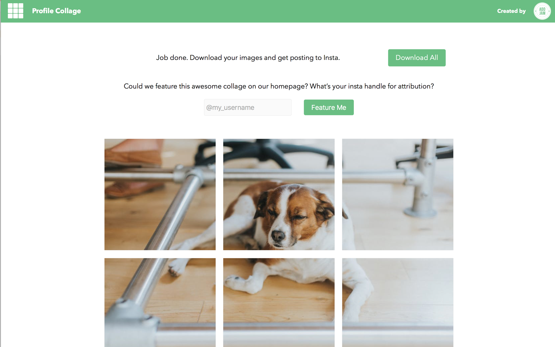 Profile Collage gallery image