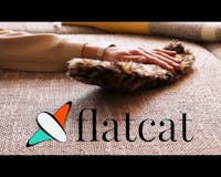 flatcat media 1
